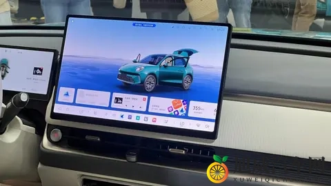 欧拉5预售：1098万元起的“光芒搭子”，能否照亮欧拉品牌的前路-1