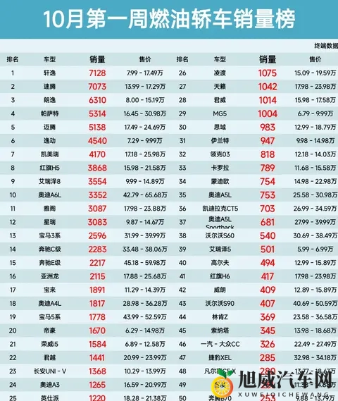 男女插孔视频：汽车新科技，行车娱乐新体验-1