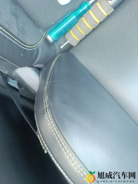 天天操一操：每日锻炼身体，健康生活每一天-2