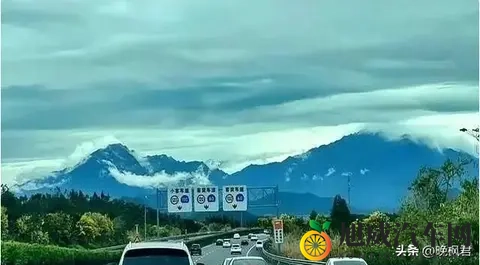 燃油车补贴突然回归，禁燃政策打脸了？官方数据藏着大秘密-2