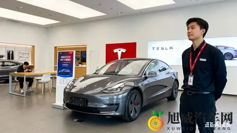 特斯拉中国月销暴跌636%，创三年最差-2