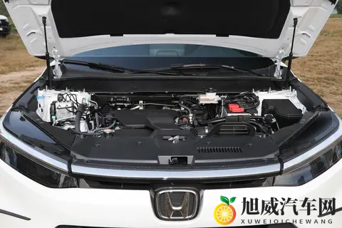 丝瓜,芭乐,猫咪,草莓,小猪绿巨人：蔬果萌宠，绿巨人相伴-2