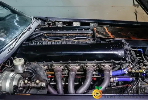 🇬🇧 “野兽”的传奇：270升V12引擎驱动的英国公路怪胎-1