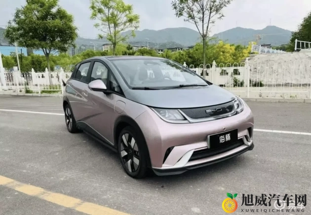 老年人电梯梅花二春：智能汽车助力，出行新篇章开启-1