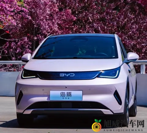 海豚优缺点大实话:买菜接娃超顺手,长途出行就露怯-2