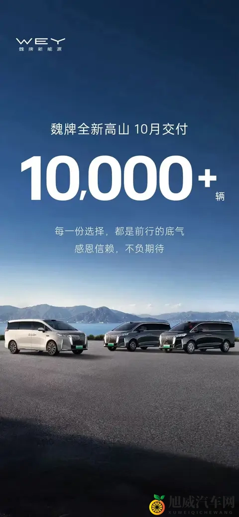 魏建军实话见效，魏牌10月销量同比猛增95%，高山反超腾势D9！-2