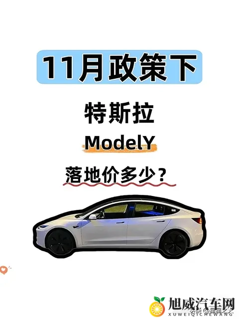 11月政策下特斯拉ModelY落地价算好了！速看-1