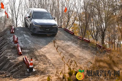 一个人看的WWW免费视频:揭秘:汽车视频免费资源,轻松满足你的驾驶梦-2