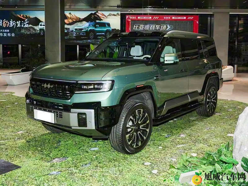 打扑克又疼又叫的视频软件：扑克游戏刺激场面，疼痛尖叫集锦视频-1