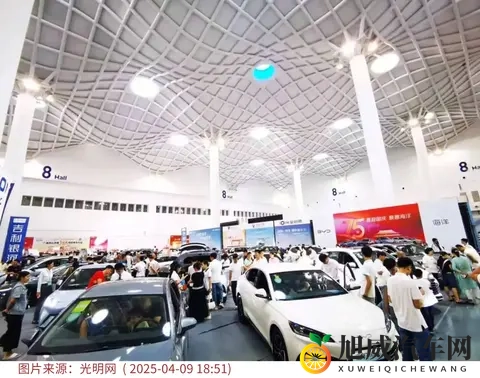 从全免到减半：购置税调整下的新能源车变局-3