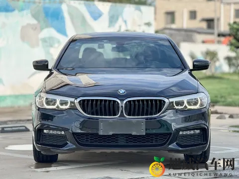16万多拿下宝马5系，圆你豪华轿车梦？-1