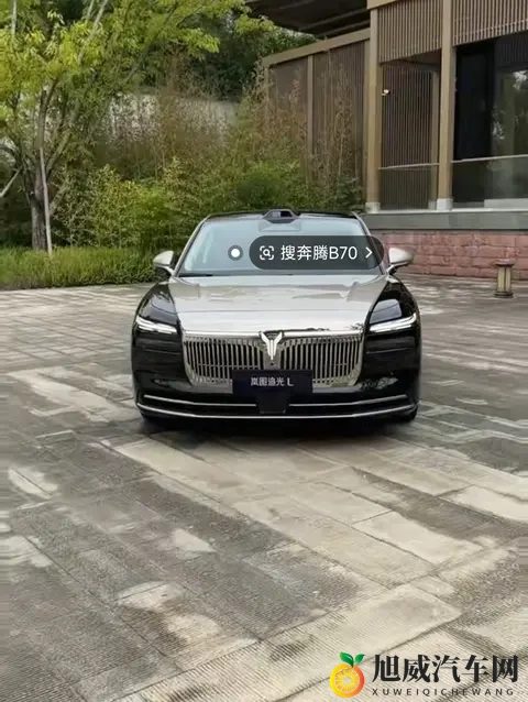 岚图下线30万辆，价格战里另辟蹊径，央企造车也得接地气-1