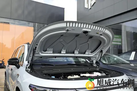20万以内，中大型纯电SUV，零跑C16纯电版是否值得买？-3
