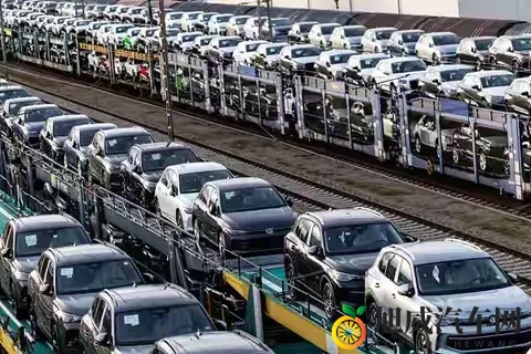 重磅转机荷兰决定归还安世半导体控制权全球汽车芯片危机迎来曙光-2