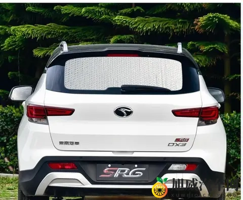 福耀与汽车领域深度合作，为什么没有布局“新能源汽车产业”？-2