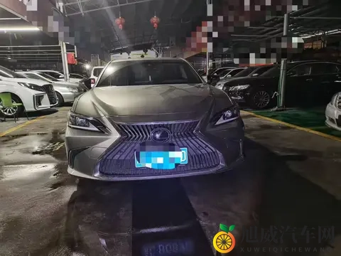 1698万，入手银灰色雷克萨斯ES，宜商宜家之选-2