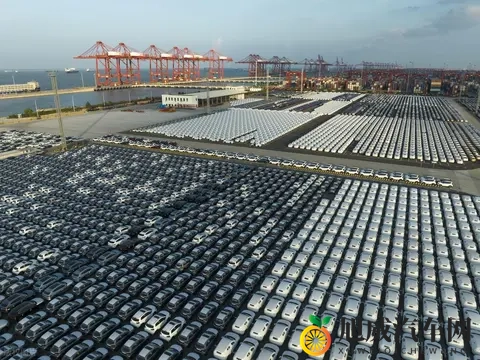 安世事件热点追踪：荷兰条件背后的欧洲汽车圈心结-2