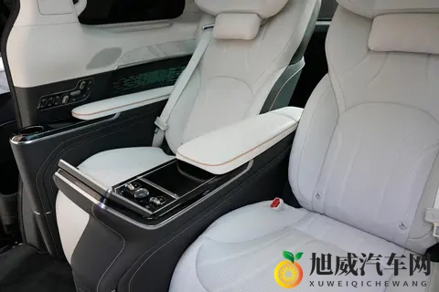 宜商宜家的豪华 MPV新选择！试驾极氪009，11月促销再添新动力-2