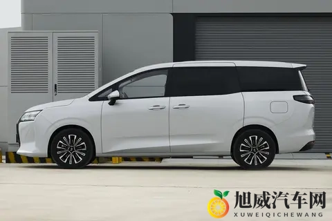 家用MPV新选择，星光730 PHEV，全能舒享大7座-1