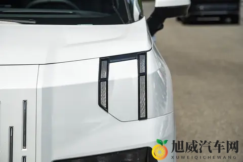 极氪009:国产高端MPV的崛起,比库里南还霸气?-2