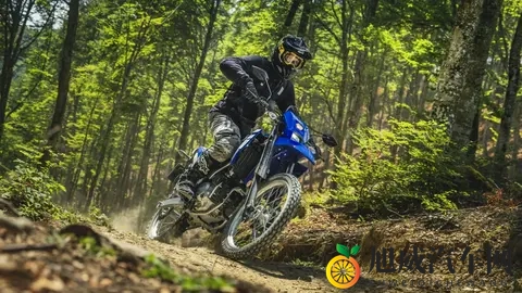 一款小型雅马哈耐力赛摩托车 WR 125 R，具有可变气门正时功能-1