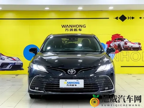 大菠萝福建：福建特产大菠萝，美味可口享不尽-2