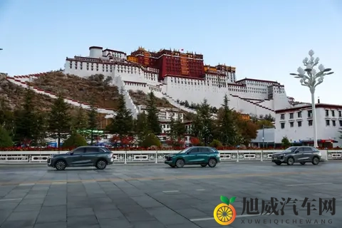 “大五座”瑞虎8预售1059万起，11月10日正式上市-2