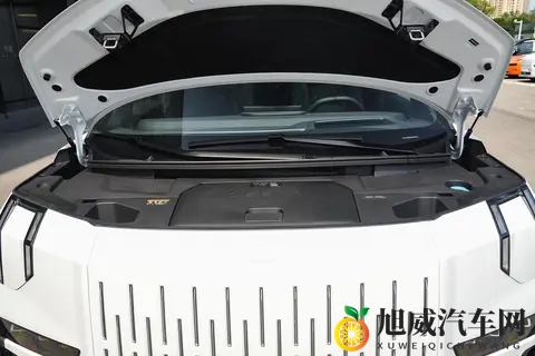 极氪009：豪华MPV的优选方案，十一月限时购车权益更实惠-3