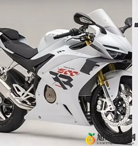 张雪500RR 新手能选吗 答案很明确 分情况冲-2