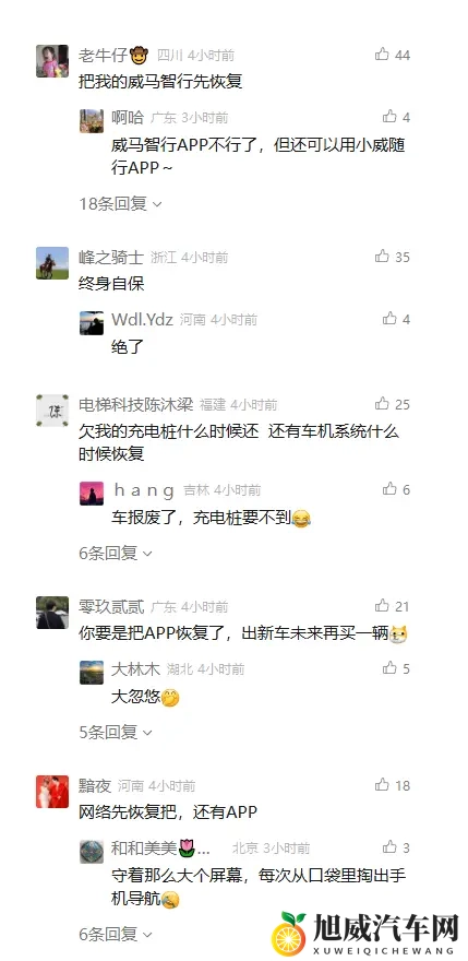 威马复活，一场“闹剧”or“爽剧”？-2