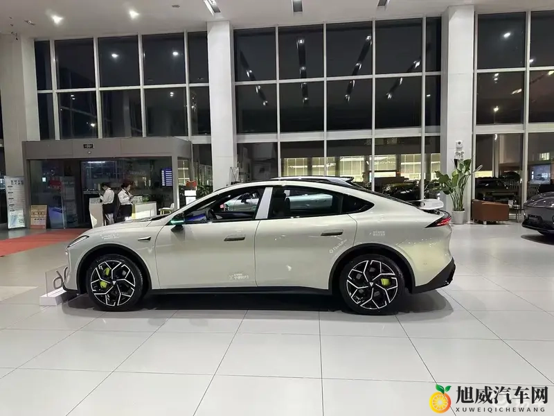 深蓝L06新车主-1