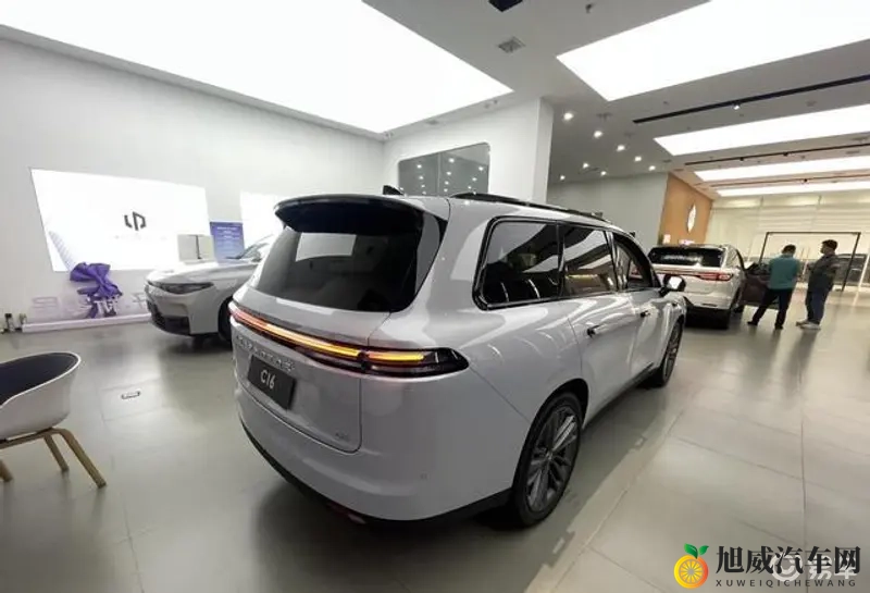 网站你懂我意思吧:新能源汽车攻略:购车保养全指南-1