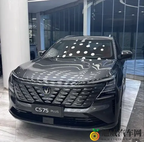 车内隐藏功能！第三个4S店都不说！-1