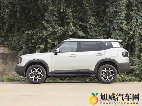 捷途山海T1四驱探索版_发现版上市，15T+双电机，售1579万元起-2