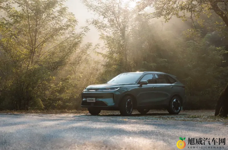 1039万起 紧凑级价格买中型SUV 哈弗H6L上市-1