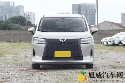 星光730，768万起开启预售，7座MPV，一车3动力插混纯电燃油可选-3