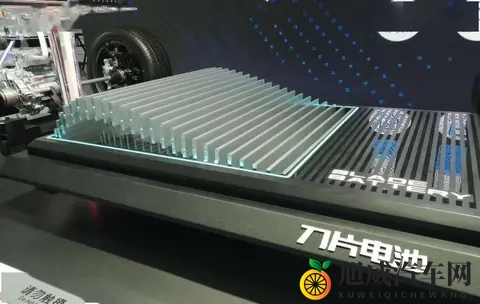 坚持磷酸铁锂的比亚迪，本质上是在维护行业声誉-3