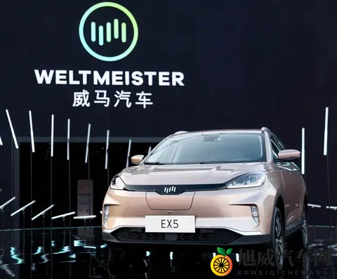 一折抢购威马的赚到了？威马汽车官宣“好事将近”-3