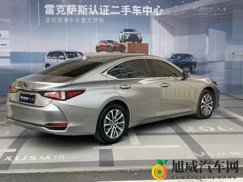 特大黑人娇小亚洲女：驾驭不同车型，展现独特魅力！-2