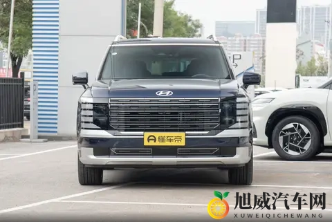 选 7 座还是 6 座？深秋试驾帕里斯帝，这版性价比绝了-3