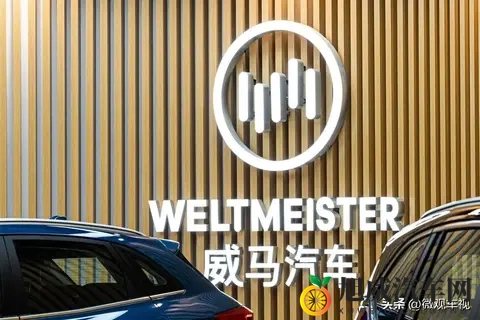 威马汽车“念念不忘，必有回响”，破产重整后谋划全面复活-3