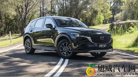 来看看澳大利亚最受欢迎的汽车-2