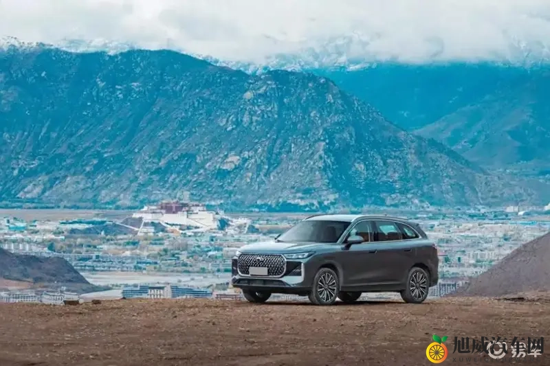 新瑞虎8电感体验，重塑燃油车魅力-1