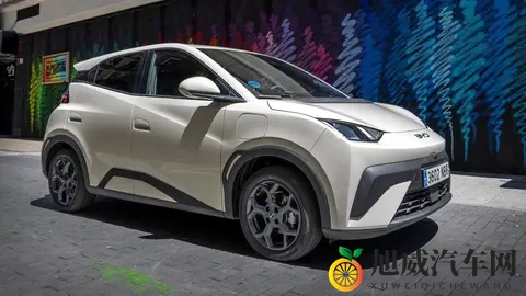 10月西班牙电动汽车销量:比亚迪首次登顶,海鸥847辆销量成销冠-3