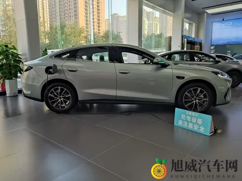 26款海豹06DM-i到店，配海域白配色+海盐灰内饰，续航128km+怀挡-3