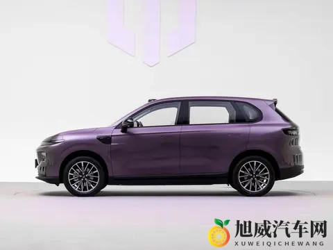 零跑又要有新车了,这次是A系列,或只有纯电版-2