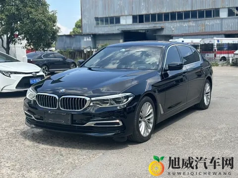 20款宝马5系：10万公里，香槟色外观，18万多开回家！-2