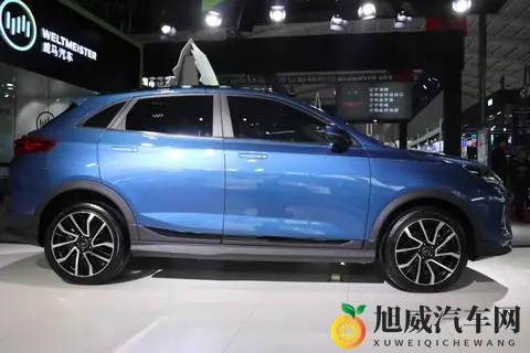 年轻人捡漏烂尾车？听我一句劝，半价买哪吒不如买二手油车！-3