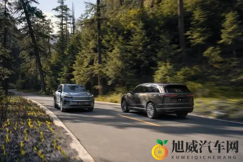 买电车的为什么都在看这款车？20-30万，大三排SUV，乐道L90-2