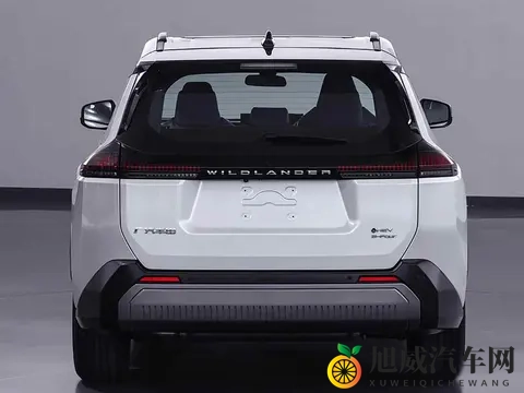 威兰达换新，油车不慌，混动更香-2